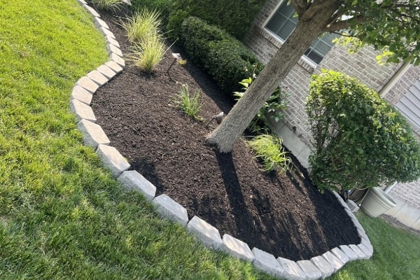Landscaping Services Landscaping Services
