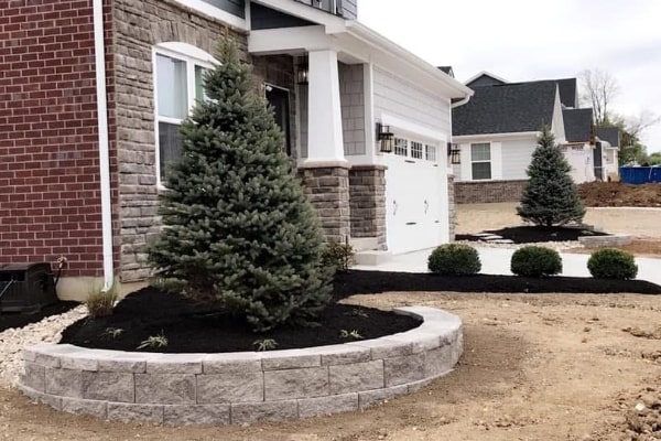 Tree Trimming Services Tree Trimming Services